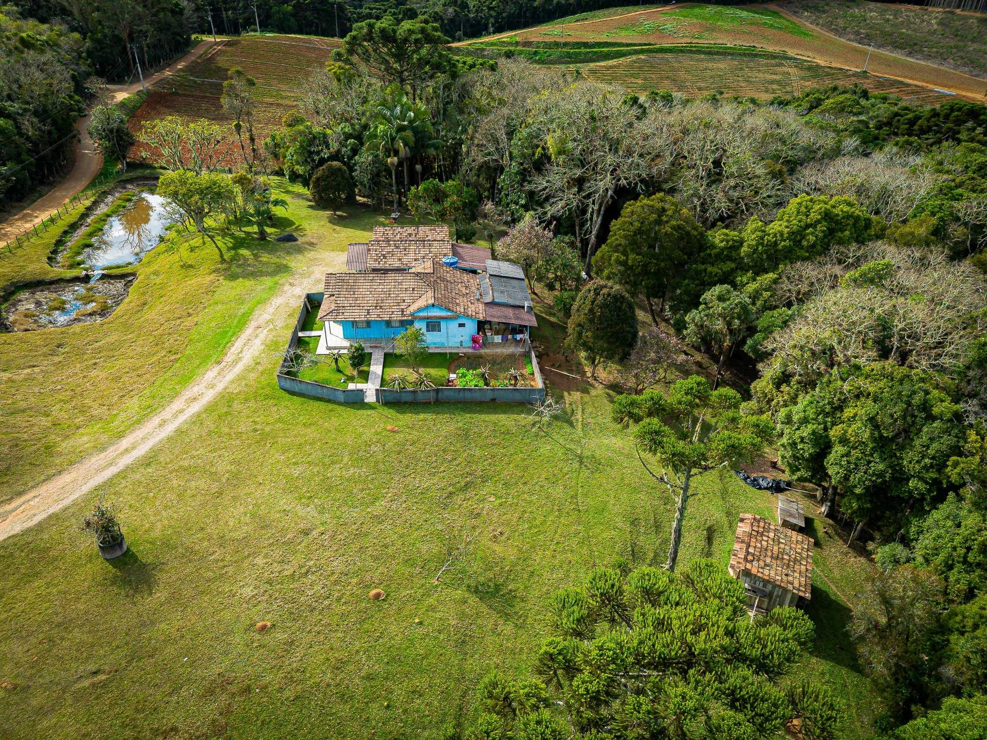 Chácara à venda, 36.300m2, Roça Velha, SAO JOSE DOS PINHAIS - PR
