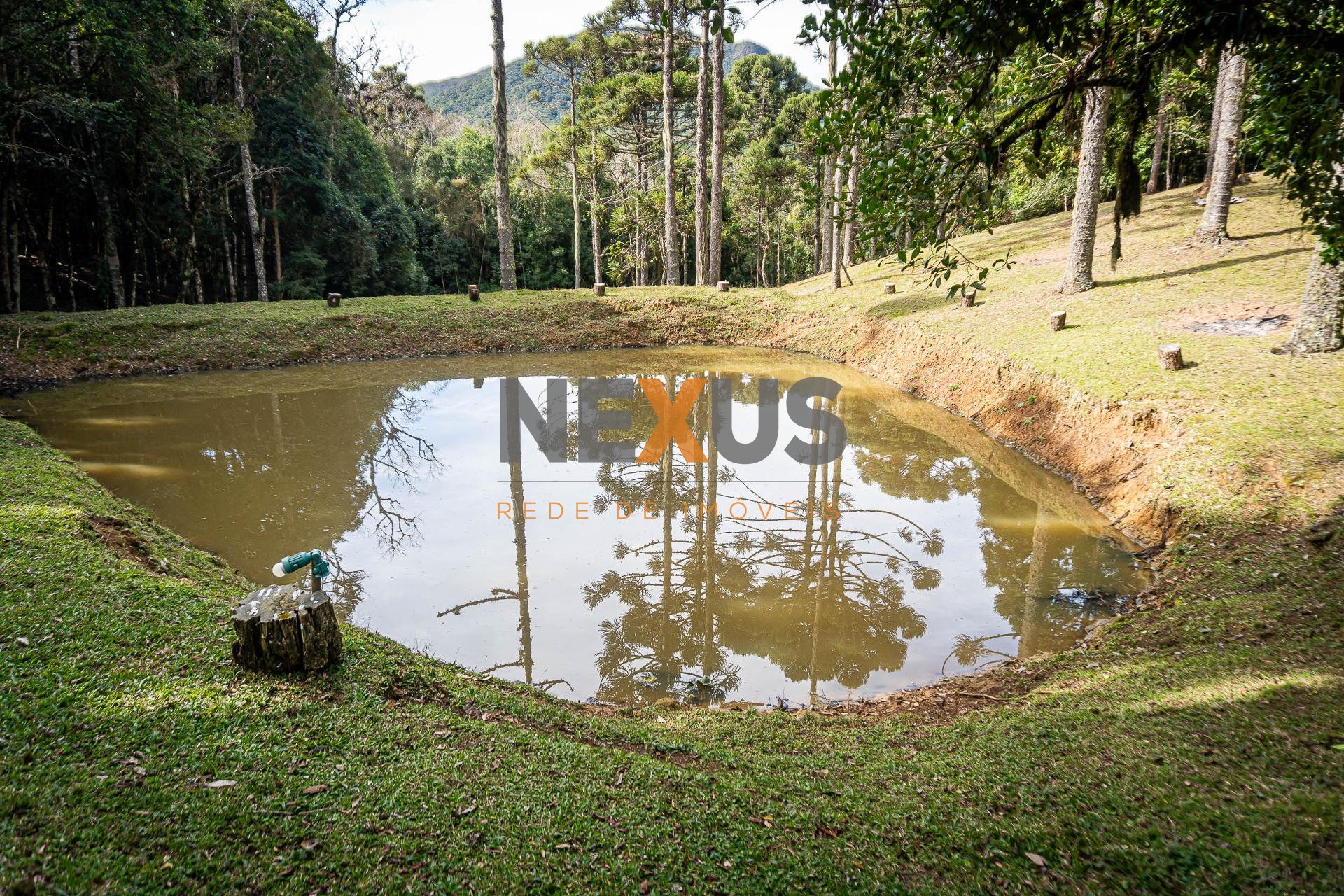 Chácara à venda, 72.600 m2, Roça Velha, SÃO JOSÉ DOS PINHAIS - PR