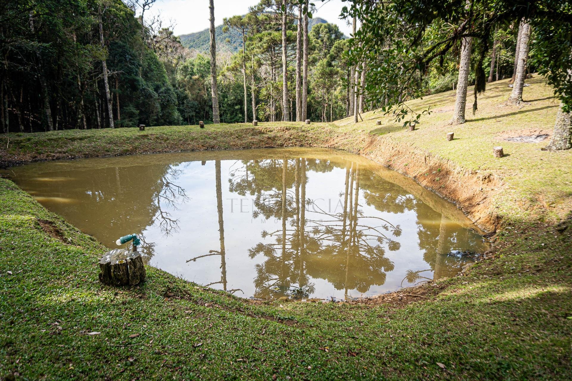 Chácara à venda, 72.600m2, Roça Velha, SAO JOSE DOS PINHAIS - PR