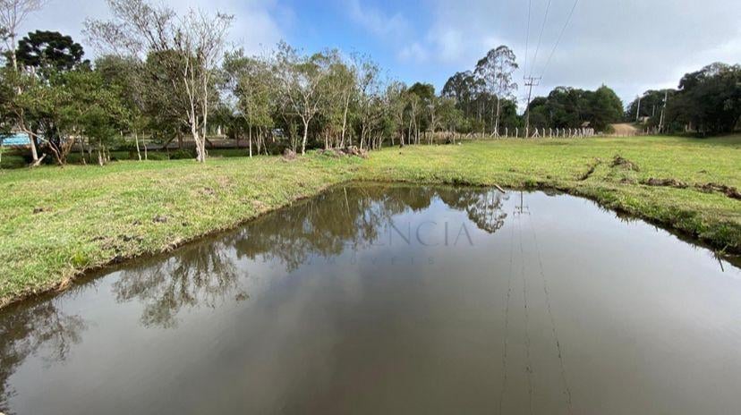 Ch?cara ? venda, TABATINGA, TIJUCAS DO SUL - PR