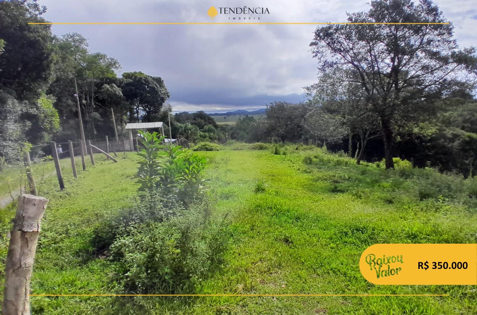 Ch?cara ? venda, 29.519m2, TABATINGA, TIJUCAS DO SUL - PR