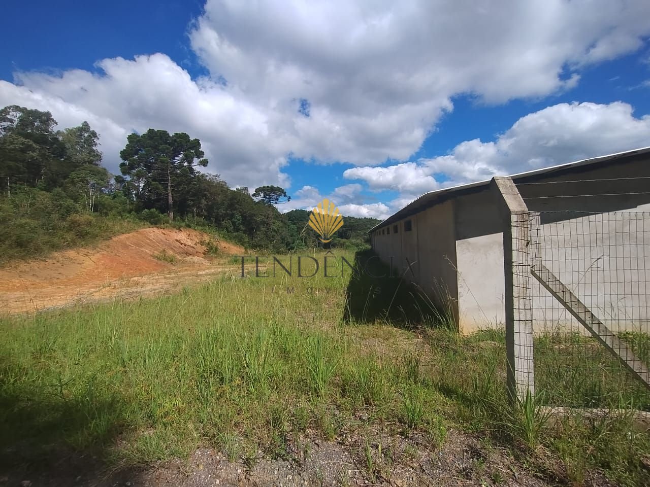 Terreno à venda, 28.652 m2 por R  4.599.000,00 - Centro - Tiju...