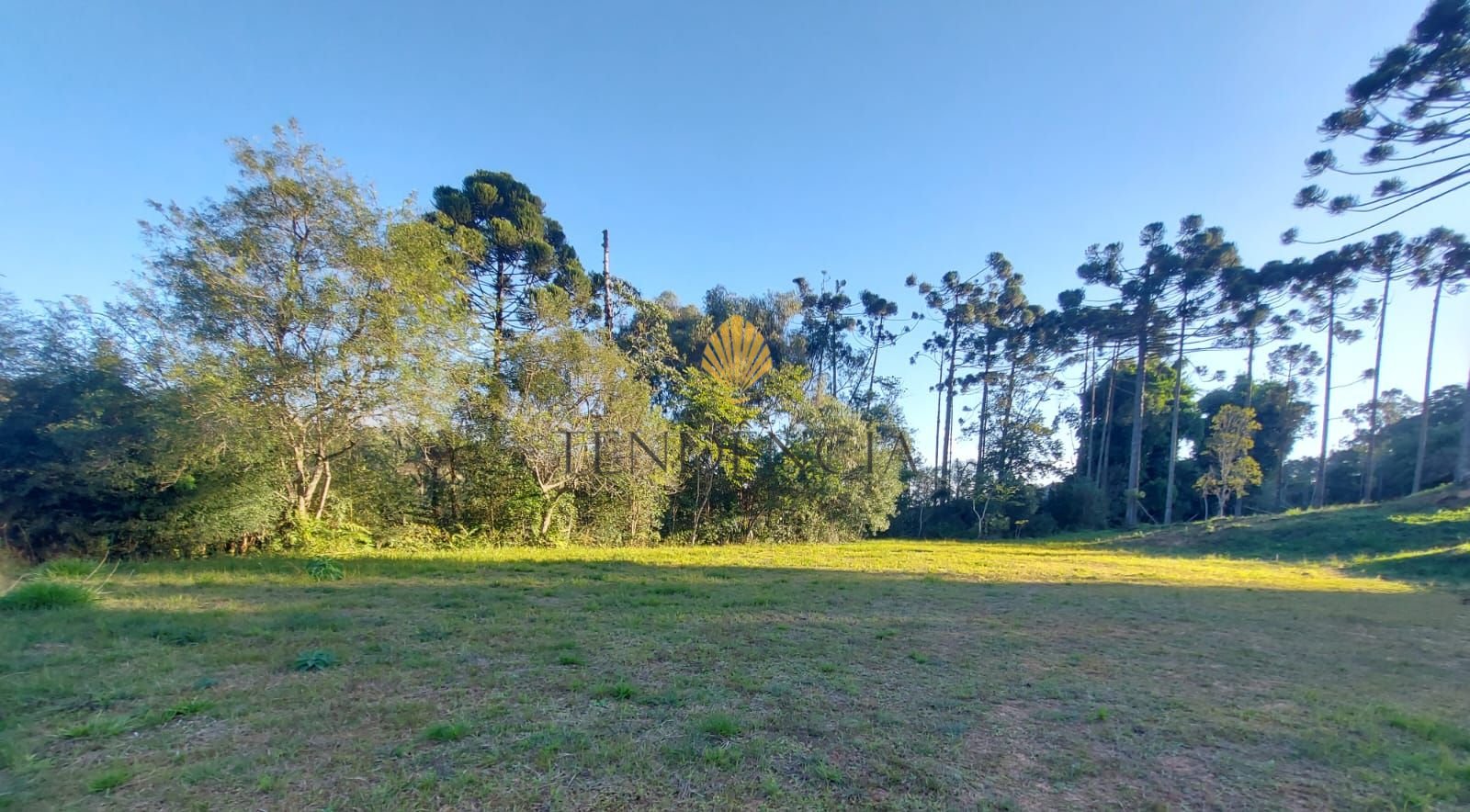 Terreno à venda, 1.060 m2 por R  559.000,00 - Rondinha - Campo...