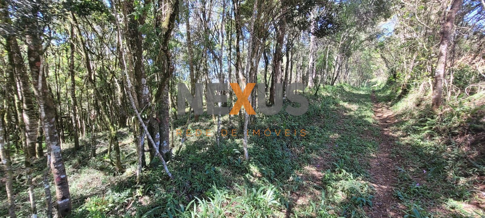 Chácara à venda, com 70153 m2, em SAO JOSE DOS PINHAIS - PR