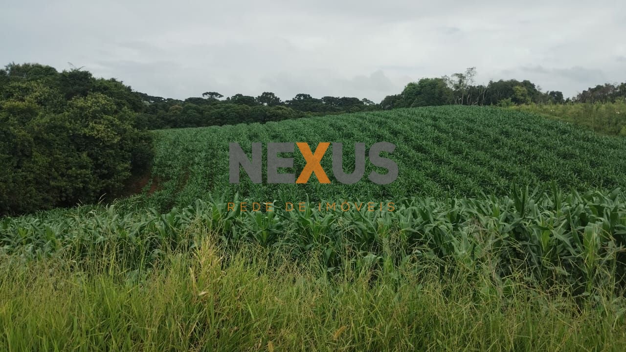 Chácara à venda, 25.110 m2, Cachoeira - São José dos Pinhais PR
