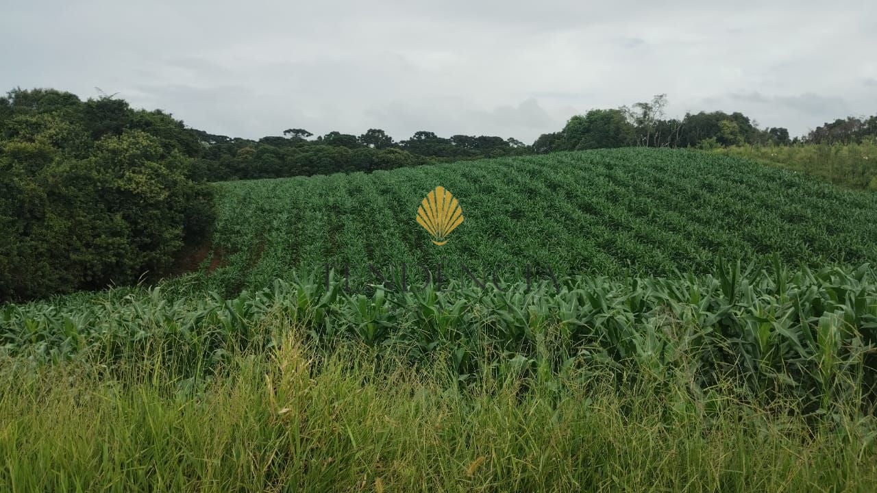 Ch?cara ? venda, 25.110 m2 por R  1.374.000,00 - Cachoeira - S...