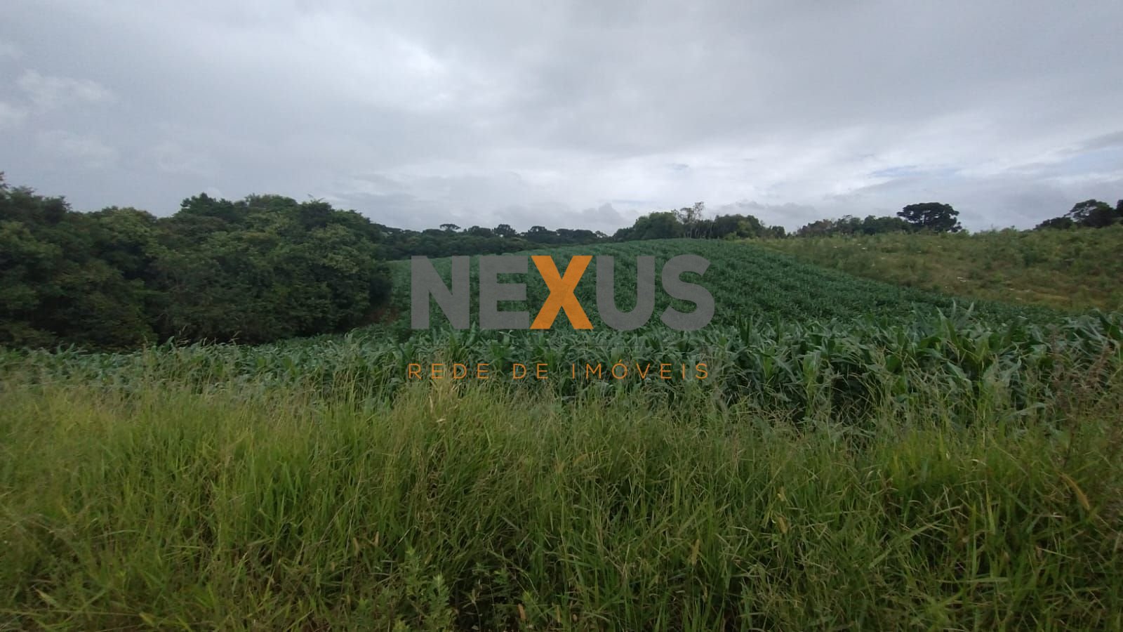 Chácara à venda, 25.110 m2, Cachoeira - São José dos Pinhais PR