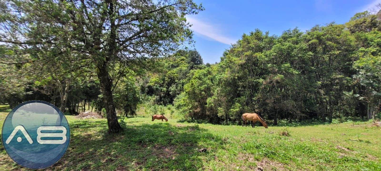 Ch?cara ? venda, 29.519 m2 por R  399.000,00 - Tabatinga - Tij...
