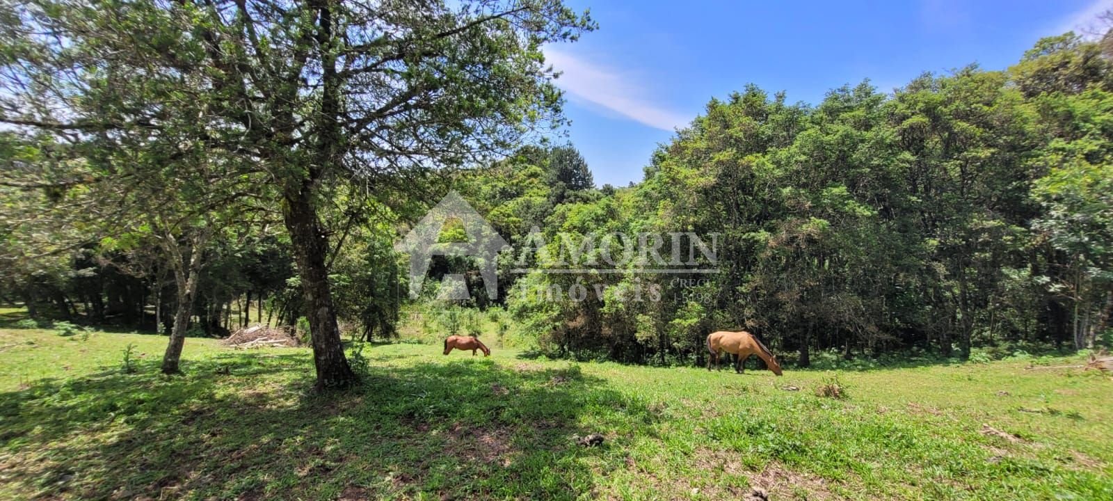Chácara à venda, 29.519 m2 por R  399.000,00 - Tabatinga - Tij...