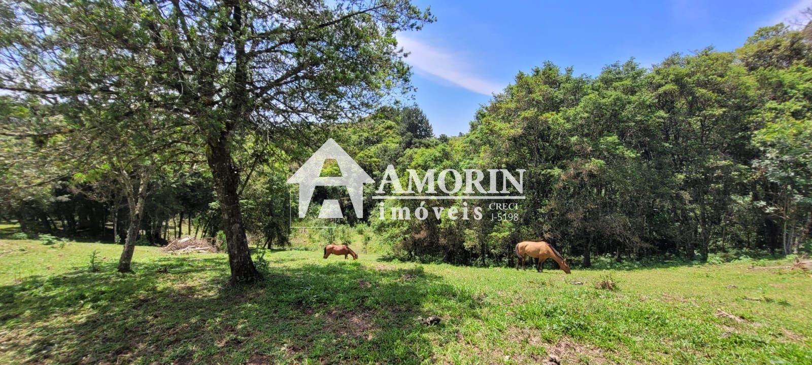 Chácara à venda, 29.519 m2 por R  399.000,00 - Tabatinga - Tij...