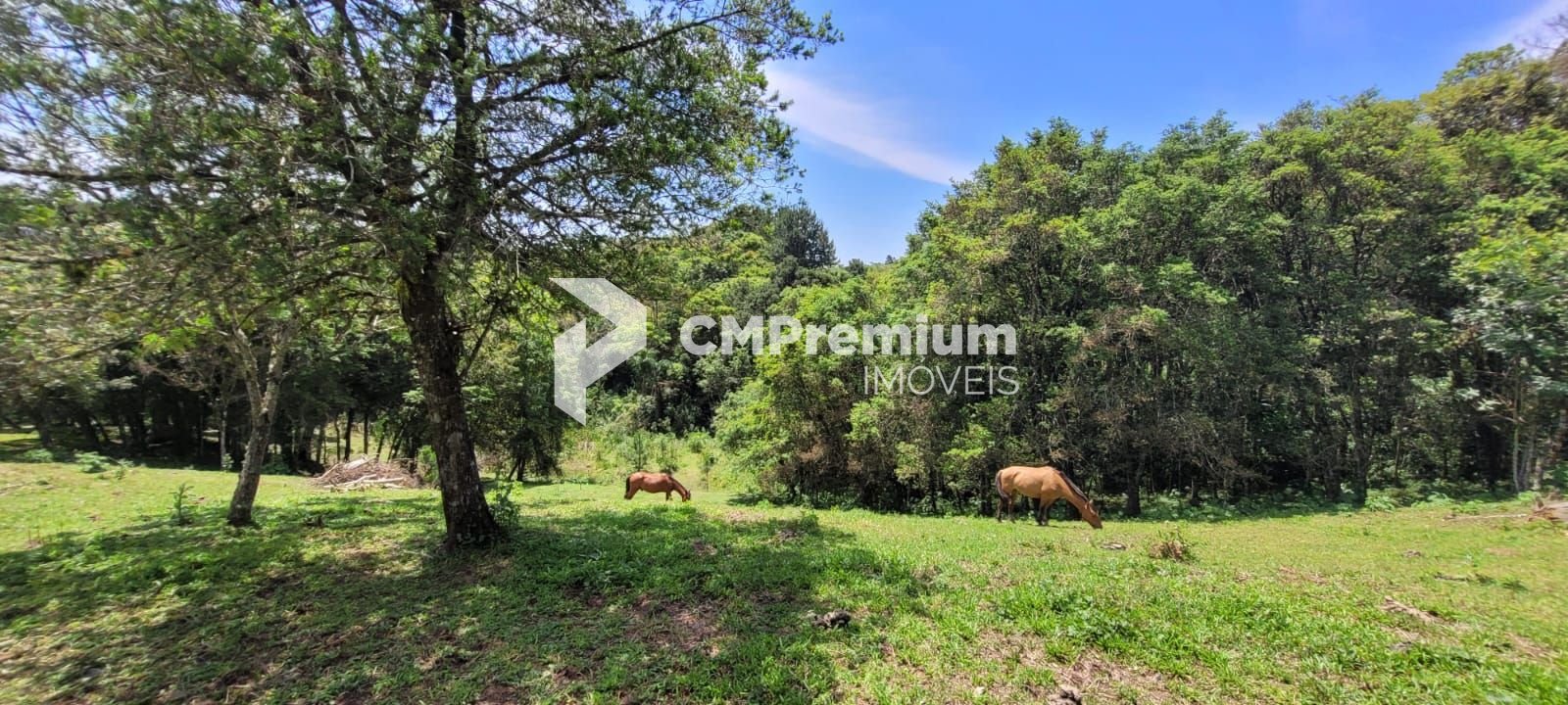 Chácara à venda, 29.519 m2 por R  399.000,00 - Tabatinga - Tij...
