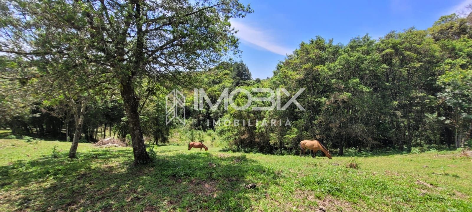 Chácara à venda, 29.519 m2 por R  399.000,00 - Tabatinga - Tij...