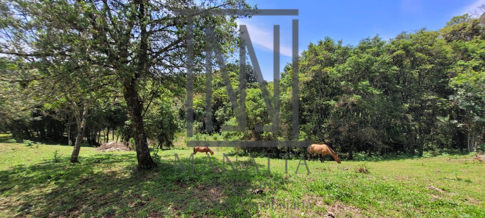 Chácara à venda, 29.519 m2 por R  399.000,00 - Tabatinga - Tij...