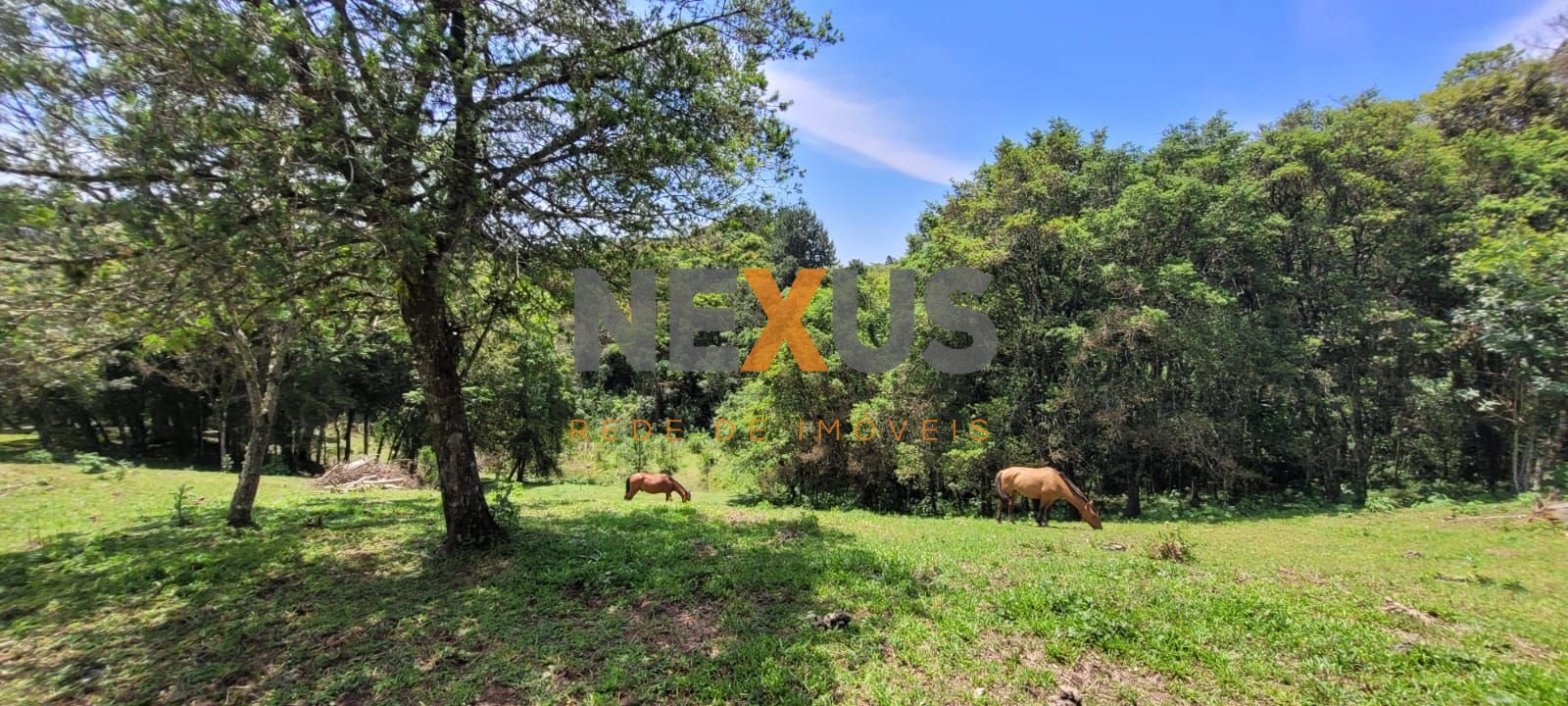 Chácara à venda, 29.519 m2 por R  399.000,00 - Tabatinga - Tij...