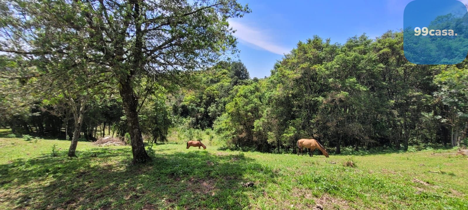 Chácara à venda, 29.519 m2 por R  399.000,00 - Tabatinga - Tij...