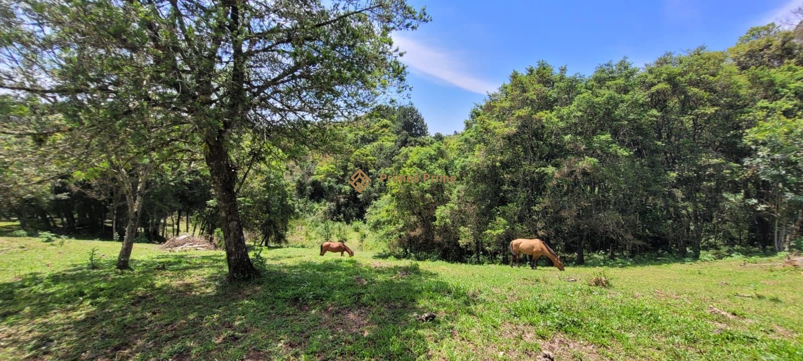 Ch?cara ? venda, 29.519 m2 por R  399.000,00 - Tabatinga - Tij...