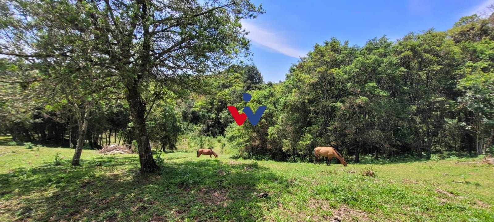 Chácara à venda, 29.519 m2 por R  399.000,00 - Tabatinga - Tij...