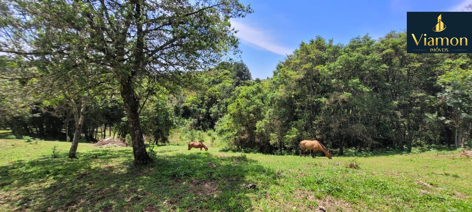 Chácara à venda, 29.519 m2 por R  399.000,00 - Tabatinga - Tij...