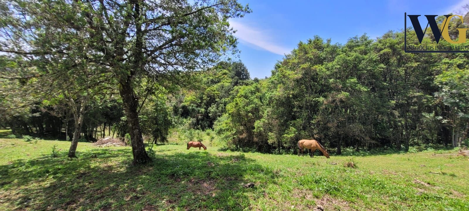 Chácara à venda, 29.519 m2 por R  399.000,00 - Tabatinga - Tij...