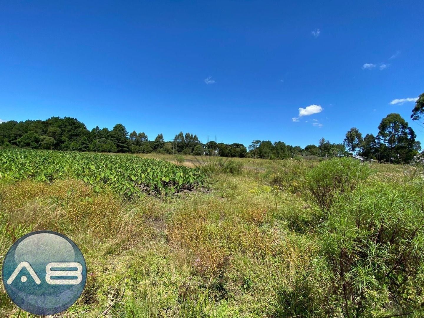 Ch?cara ? venda, 57.862 m2,  por R  649.000,00 - Tabatinga - T...