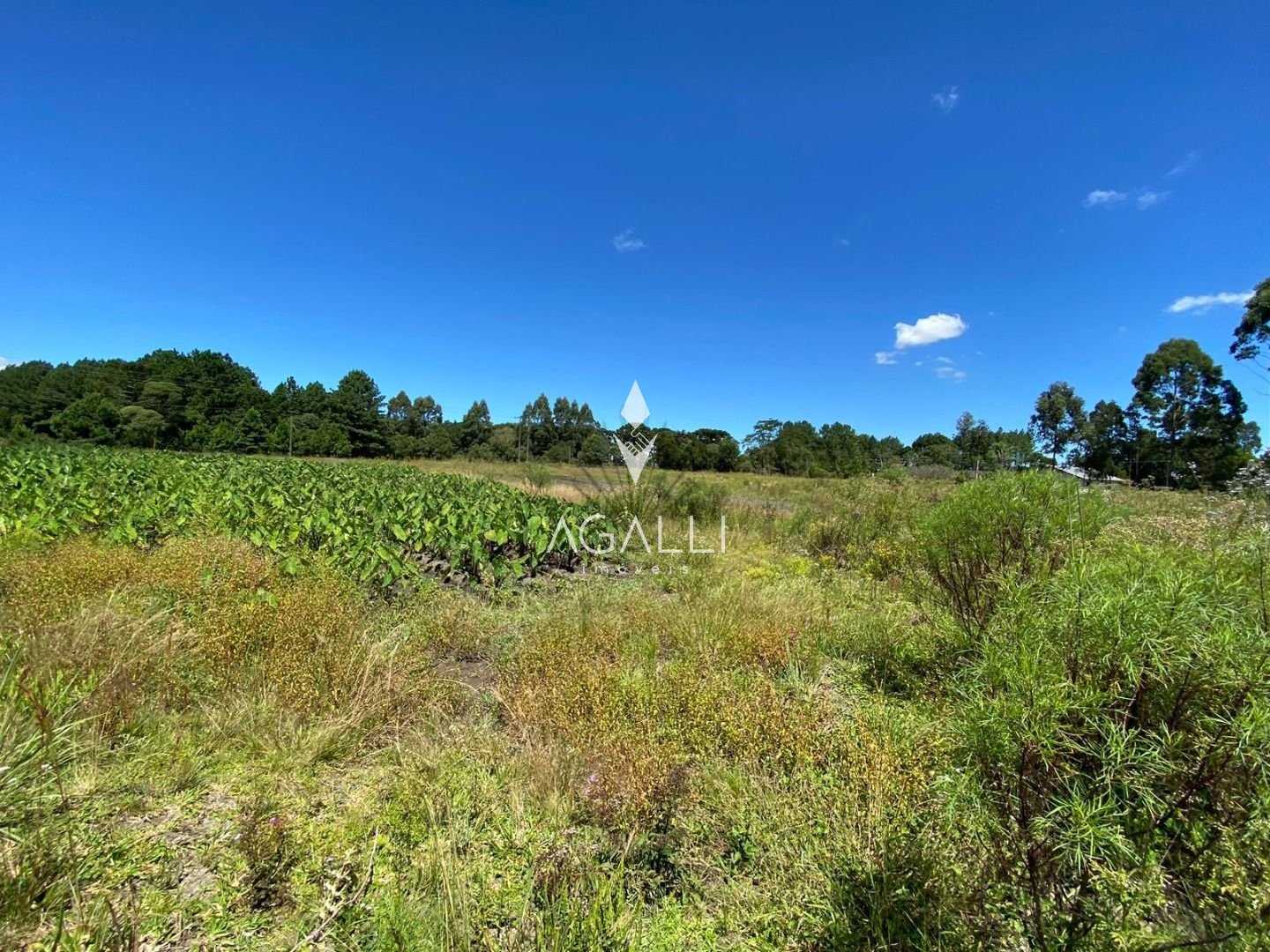Chácara à venda, 57.862 m2,  por R  649.000,00 - Tabatinga - T...