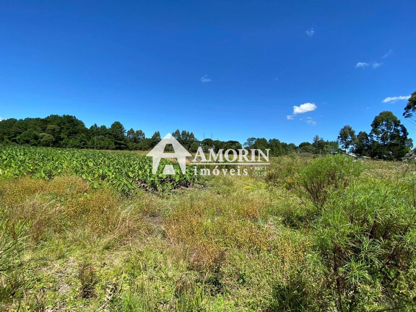 Chácara à venda, 57.862 m2,  por R  649.000,00 - Tabatinga - T...