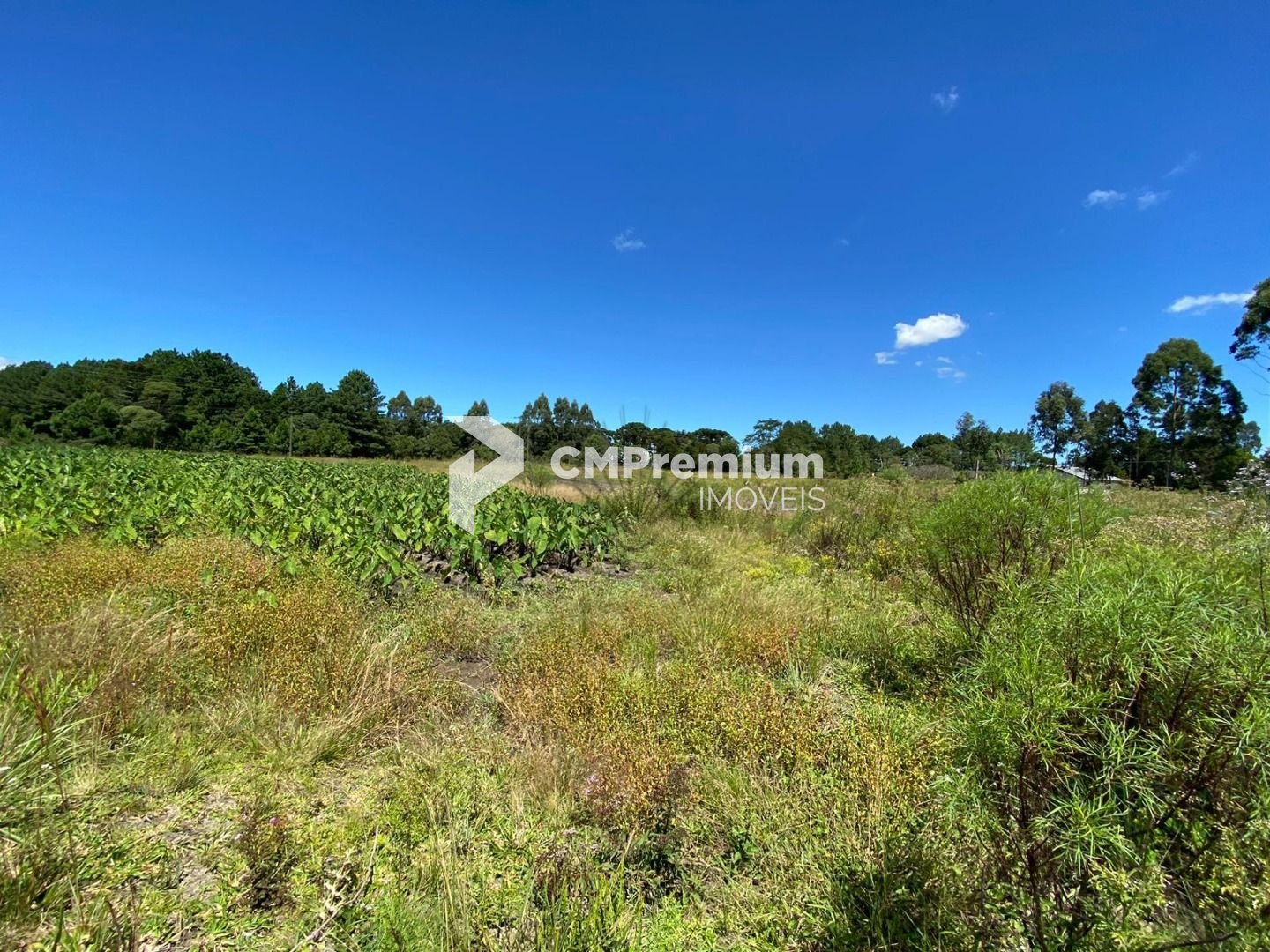 Chácara à venda, 57.862 m2,  por R  649.000,00 - Tabatinga - T...