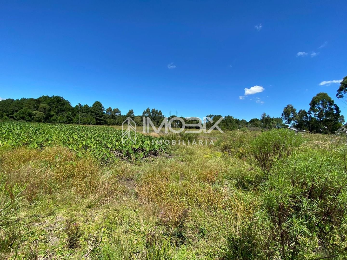 Chácara à venda, 57.862 m2,  por R  649.000,00 - Tabatinga - T...
