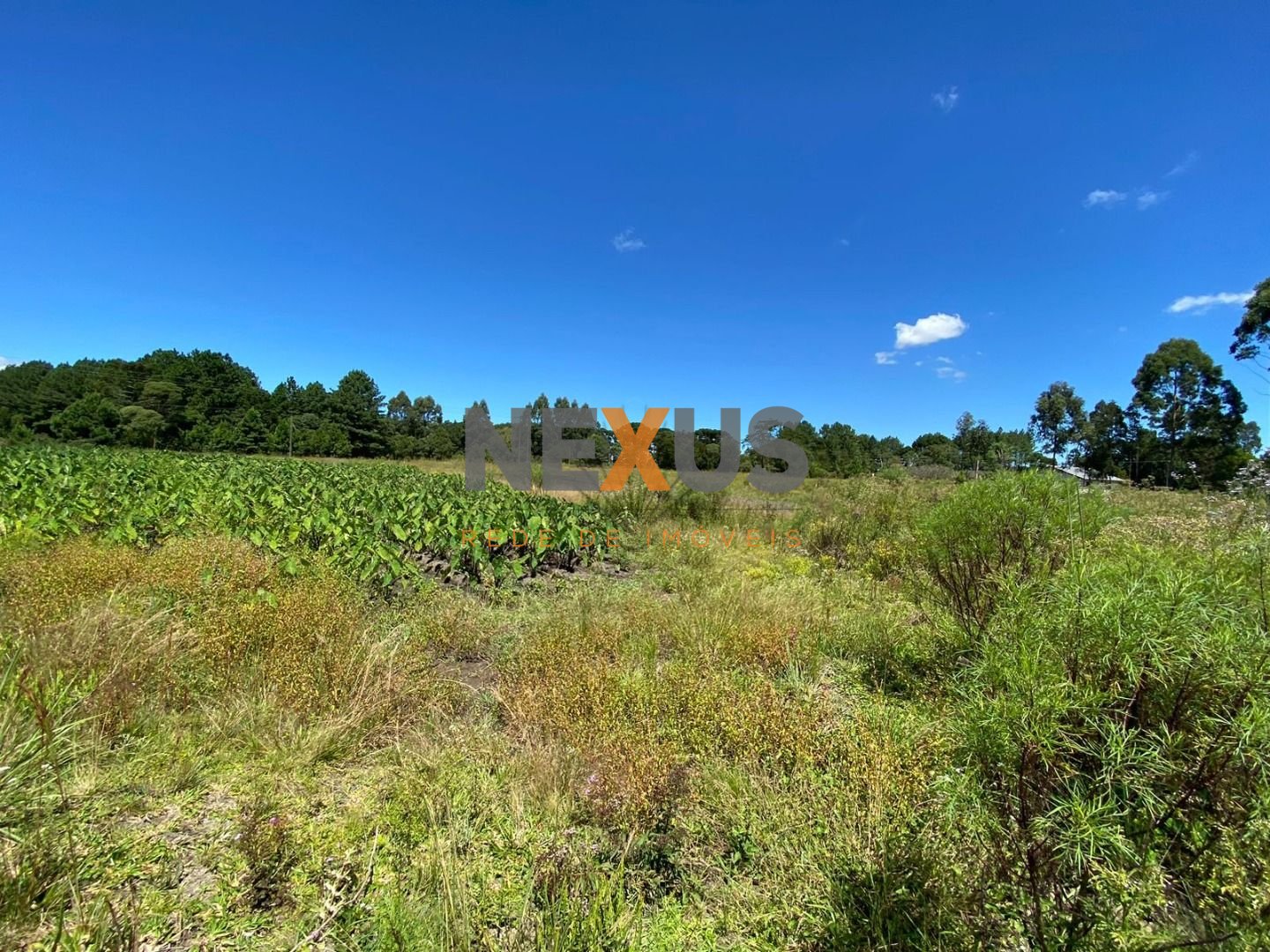 Chácara à venda, 57.862 m2,  por R  649.000,00 - Tabatinga - T...