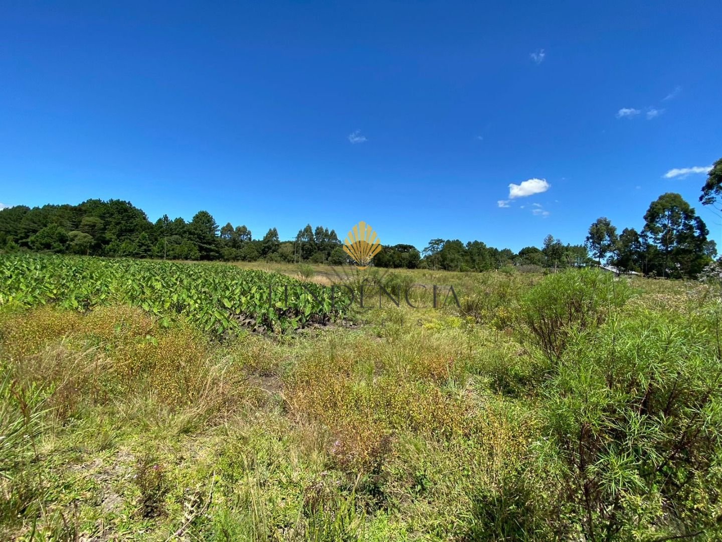 Chácara à venda, 57.862 m2,  por R  649.000,00 - Tabatinga - T...