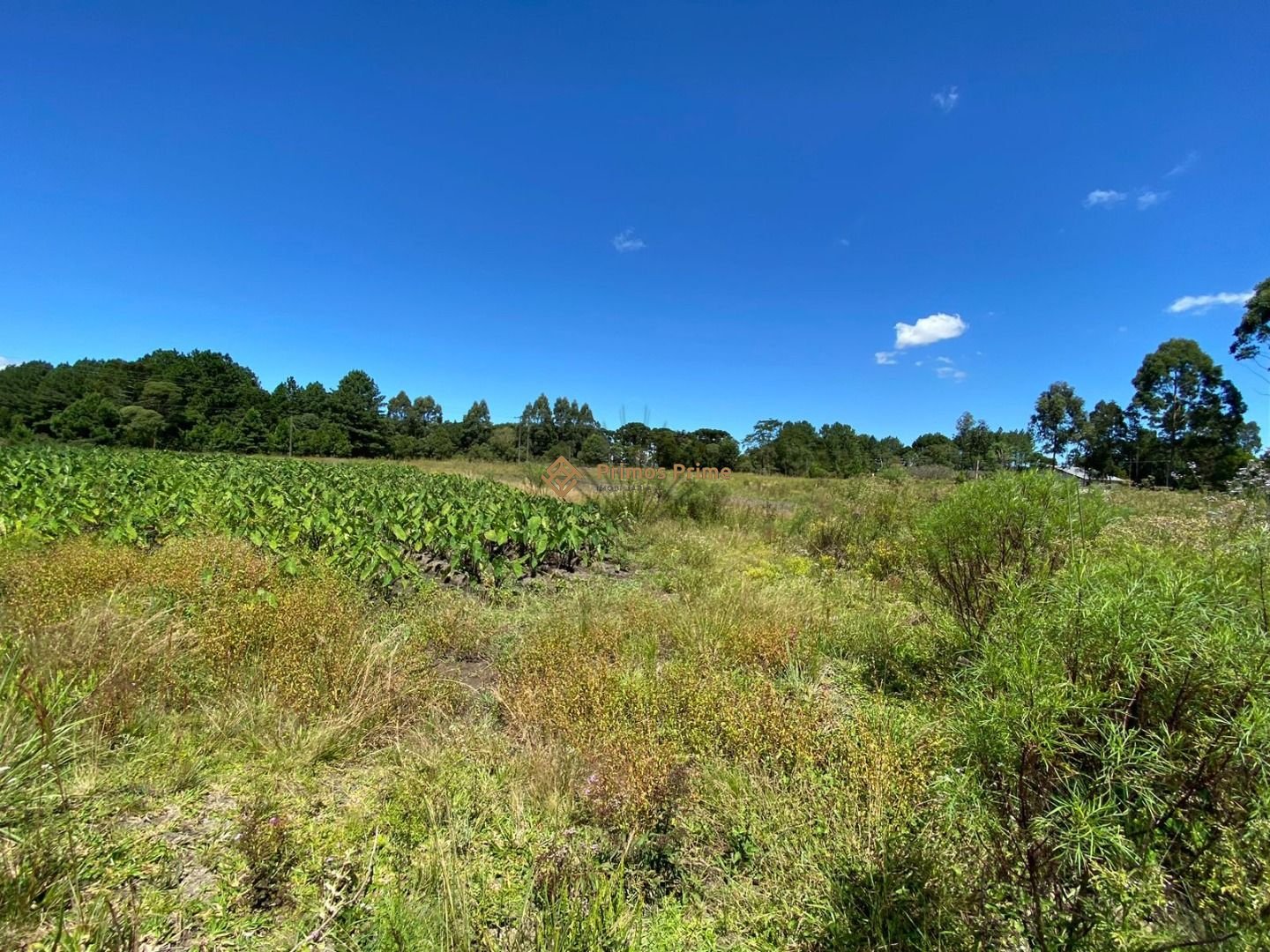 Ch?cara ? venda, 57.862 m2,  por R  649.000,00 - Tabatinga - T...
