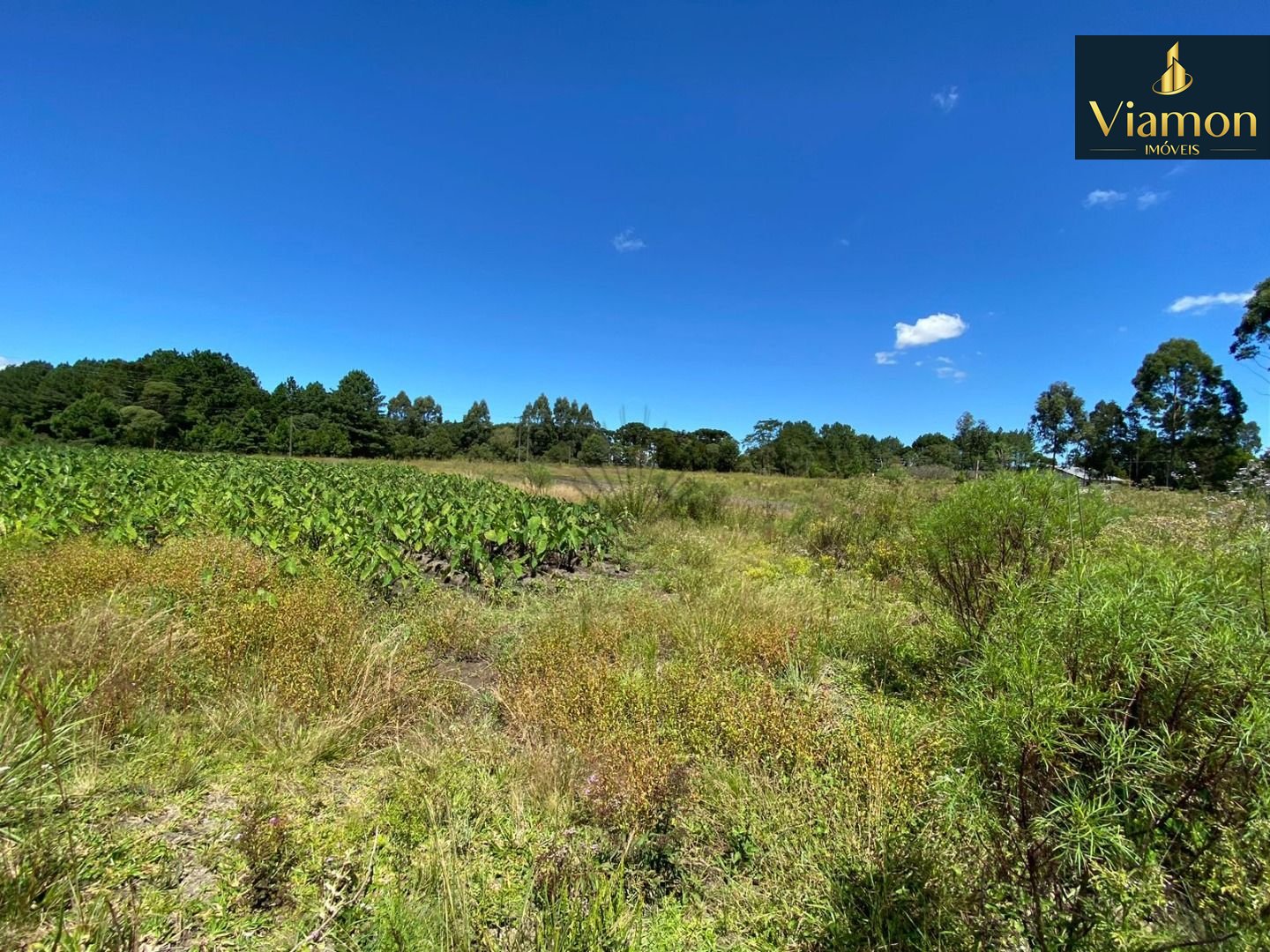 Chácara à venda, 57.862 m2,  por R  649.000,00 - Tabatinga - T...