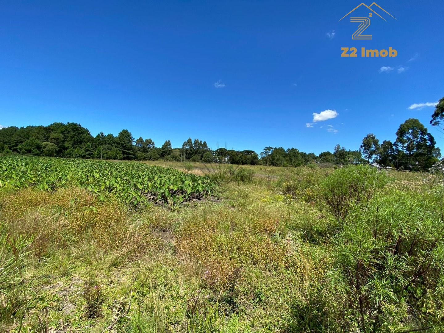 Chácara à venda, 57.862 m2,  por R  649.000,00 - Tabatinga - T...