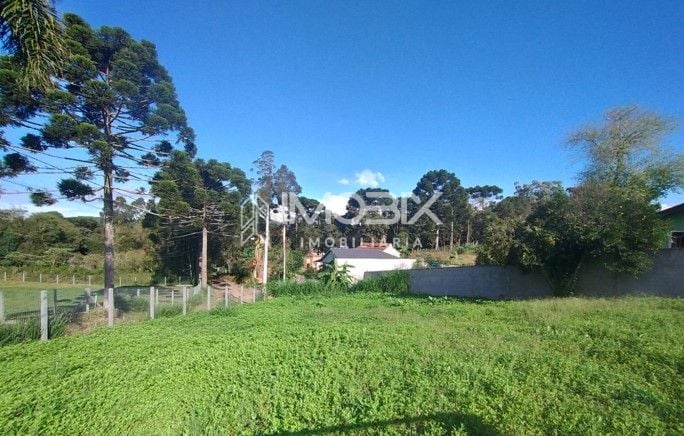 Terreno à venda, 400 m2 por R  74.000,00 - Lagoa - Tijucas do ...