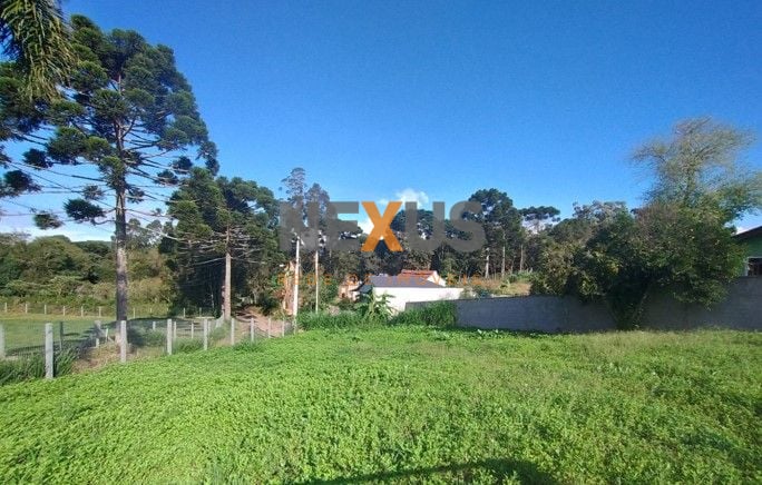 Terreno à venda, 400 m2 por R  74.000,00 - Lagoa - Tijucas do ...