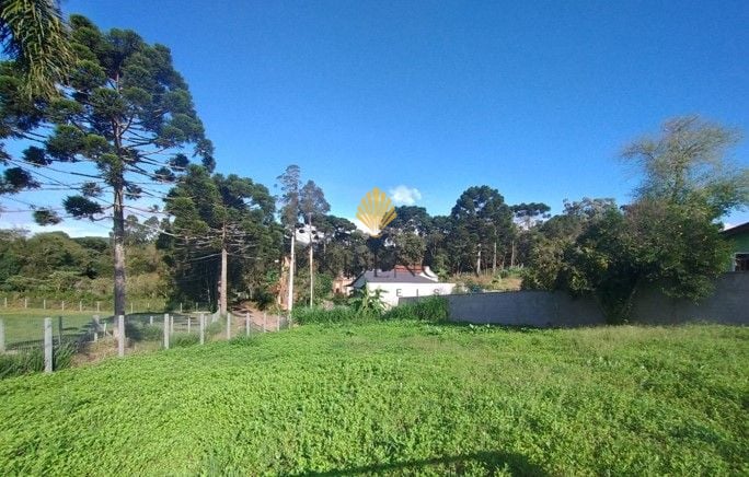 Terreno à venda, 400 m2 por R  74.000,00 - Lagoa - Tijucas do ...