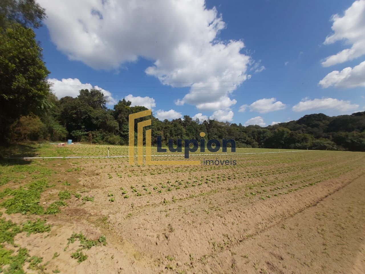 Chácara com 4 quartos à venda, 63.708 m2 por R  1.498.000 - Co...