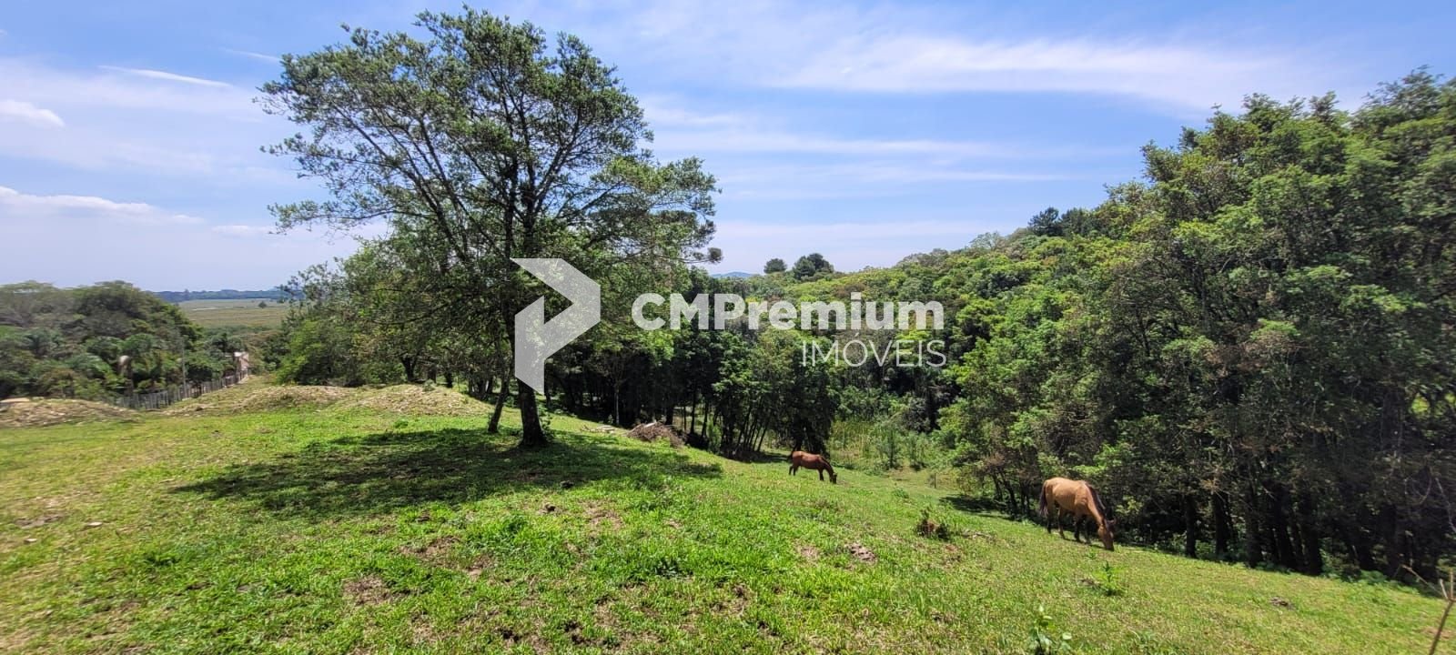 Chácara à venda, 29.519 m2 por R  399.000,00 - Tabatinga - Tij...