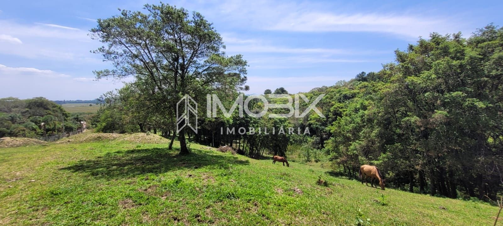 Chácara à venda, 29.519 m2 por R  399.000,00 - Tabatinga - Tij...