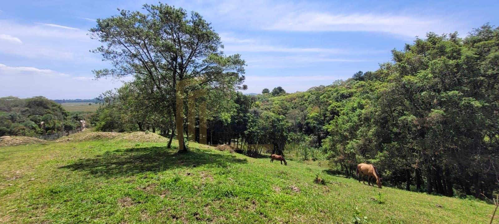 Chácara à venda, 29.519 m2 por R  399.000,00 - Tabatinga - Tij...