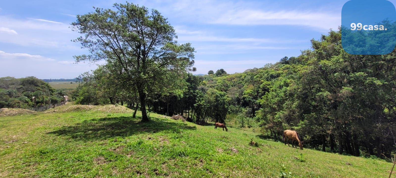 Chácara à venda, 29.519 m2 por R  399.000,00 - Tabatinga - Tij...