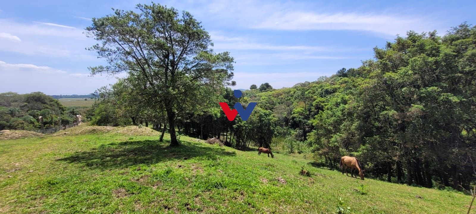 Chácara à venda, 29.519 m2 por R  399.000,00 - Tabatinga - Tij...