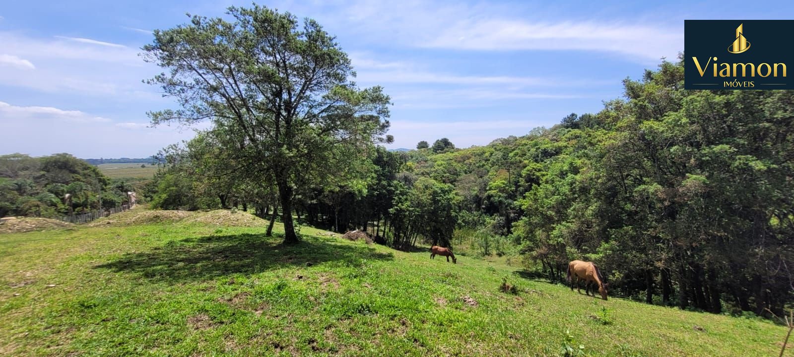 Chácara à venda, 29.519 m2 por R  399.000,00 - Tabatinga - Tij...
