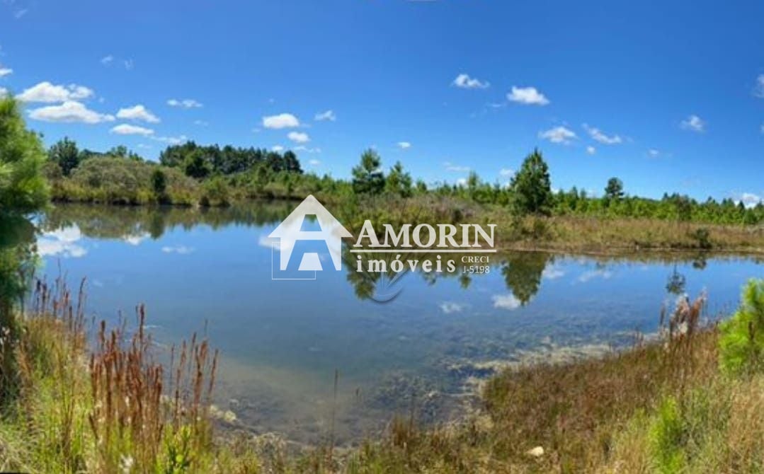 Chácara à venda, 57.862 m2,  por R  649.000,00 - Tabatinga - T...
