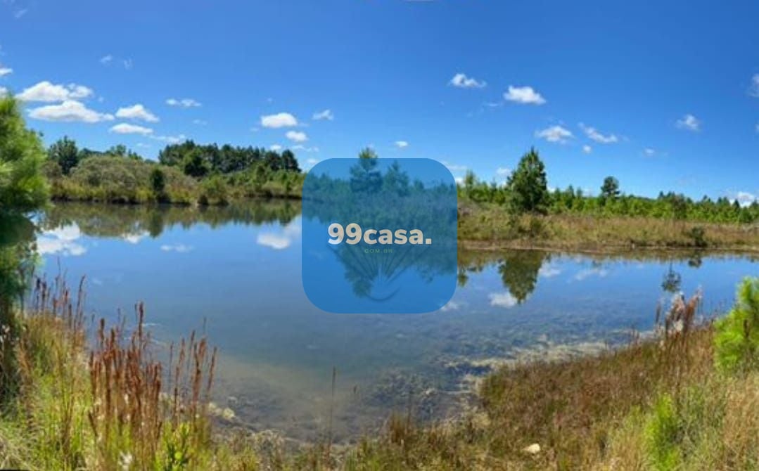 Chácara à venda, 57.862 m2,  por R  649.000,00 - Tabatinga - T...