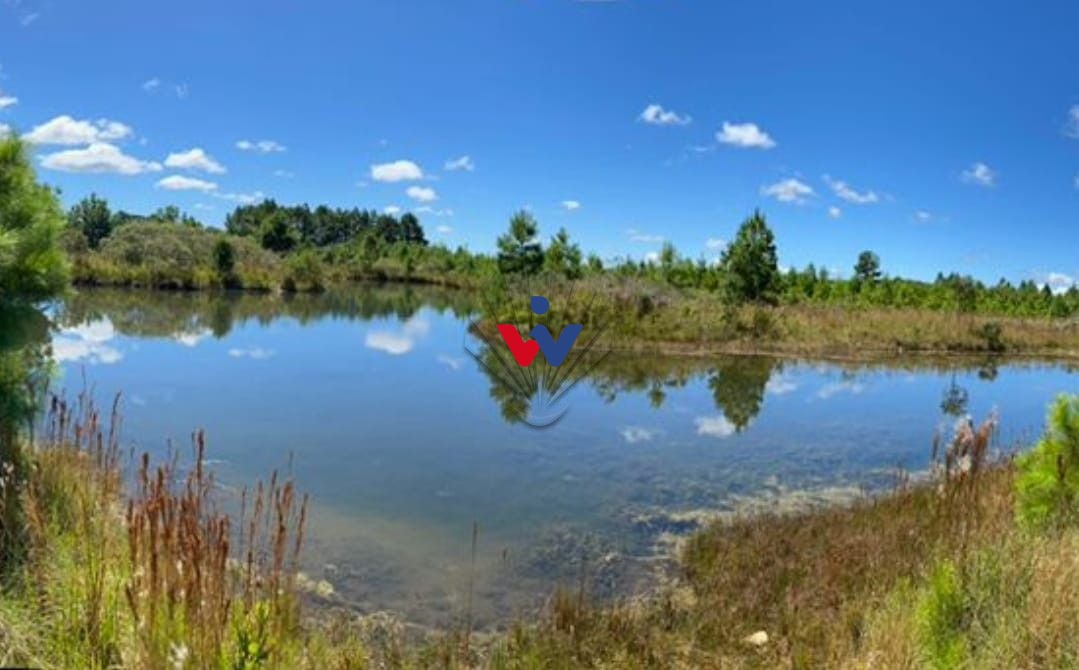 Chácara à venda, 57.862 m2,  por R  649.000,00 - Tabatinga - T...