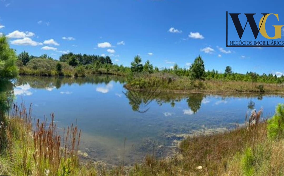 Chácara à venda, 57.862 m2,  por R  649.000,00 - Tabatinga - T...