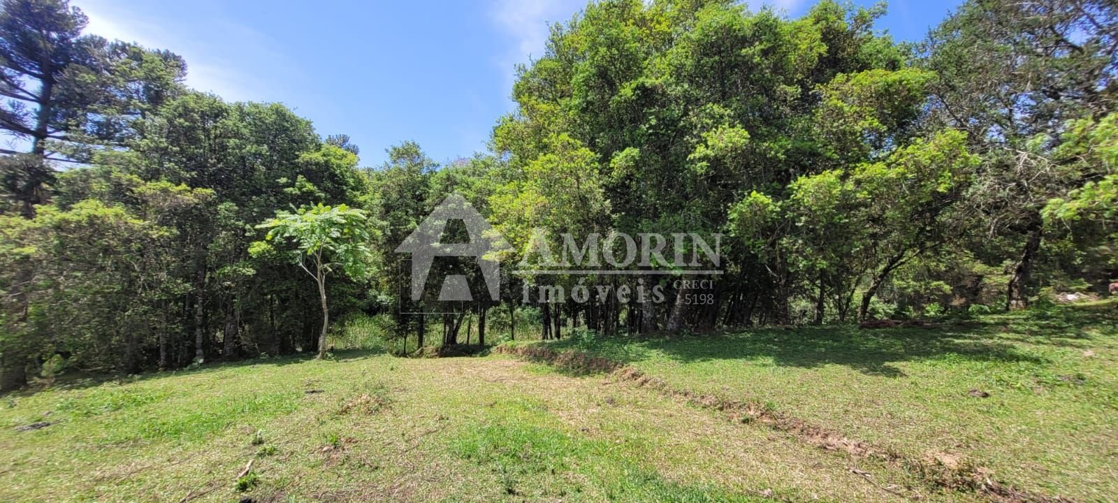 Chácara à venda, 29.519 m2 por R  399.000,00 - Tabatinga - Tij...