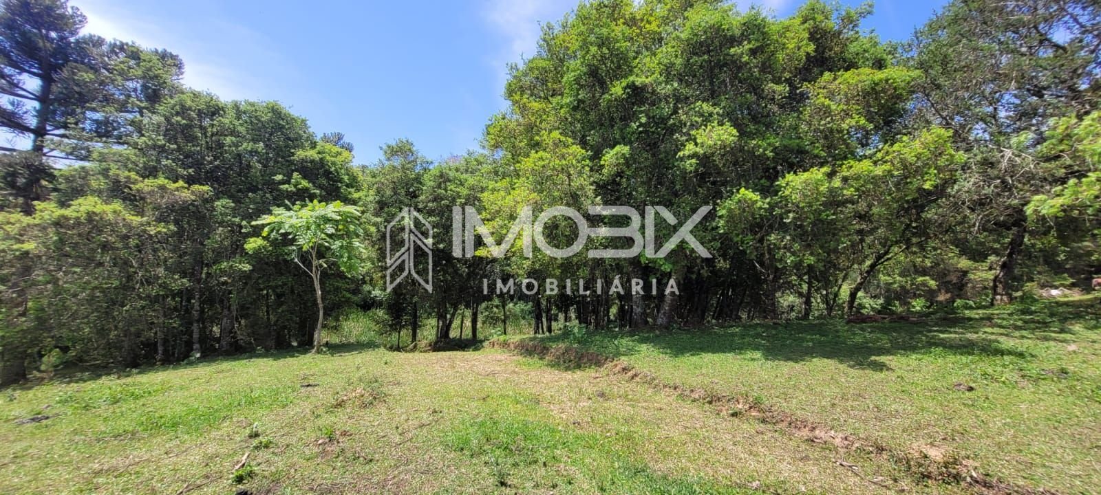 Chácara à venda, 29.519 m2 por R  399.000,00 - Tabatinga - Tij...