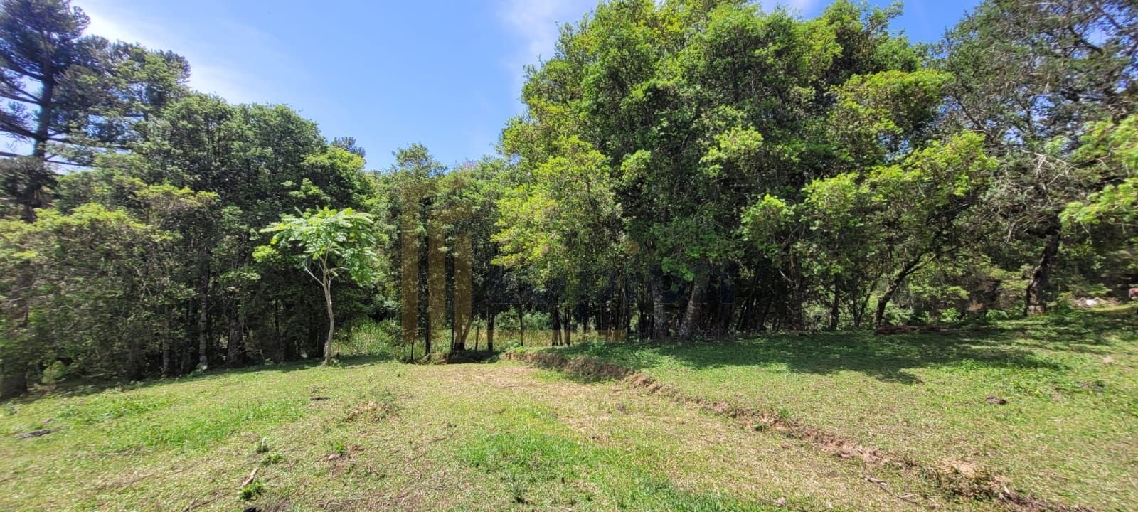Chácara à venda, 29.519 m2 por R  399.000,00 - Tabatinga - Tij...